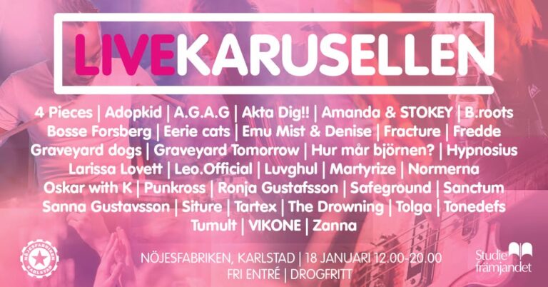 Distriktsfestival – Livekarusellen