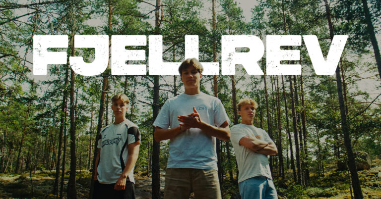 Fjellrev