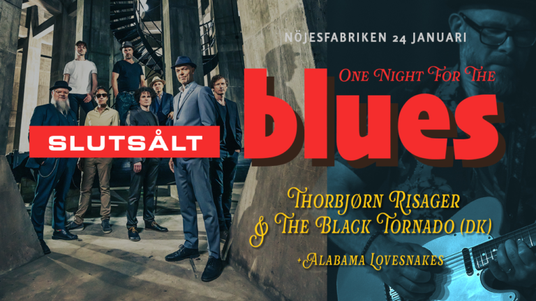 One Night For The Blues