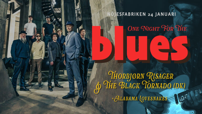 One Night For The Blues