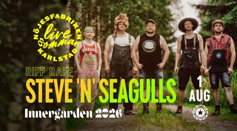 Steve’n’Seagulls